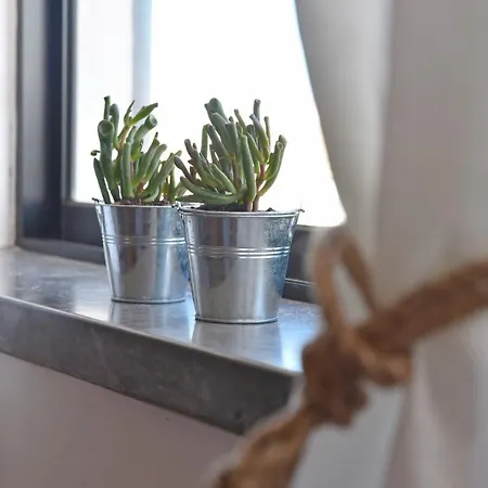 Surf House Peniche Baleal