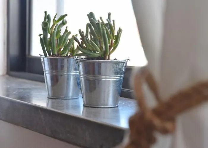 Surf House Peniche בליאל